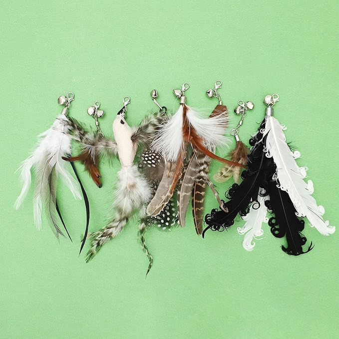 8 Pieces Cat Feather Toys Replacement Cat Toy Wand Refills Cat Toy Replacement Natural Bird Feathers for Cat Toys