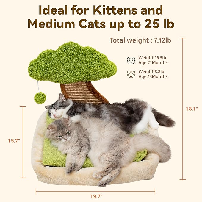 Meowoou Cat Bed with Scratching Pad (15.7''x19.7''), Soft Bed for Indoor Cats and Kitten, Detachable Washable Square Faux Fur Pad Cat Bed with Mountain View