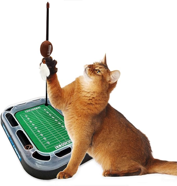 Football Field Cat Toy NFL DETROIT LIONS FOOTBALL FIELD CAT SCRATCHER TOY with CATNIP Filled Plush FOOTBALL Toy&Feather Cat Toy hanging with Jingle Bell INTERACTIVE BALL Cat Chasing 5-in-1 KITTY Toy