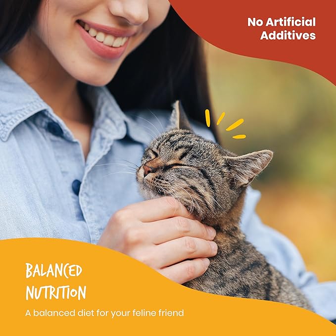 Beefeaters Cat Treats - Chicken Pate 3oz, Case of 24 | Nutrient-Rich Wet Cat Food, Essential Vitamins & Taurine, No Artificial Additives | Supports Immune System & Vision | Training Treats