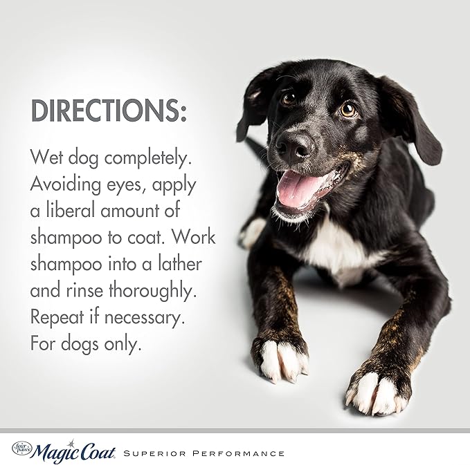 Four Paws Magic Coat® Medicated Dog Shampoo for Skin Allergies 16 Ounce (1 Count)