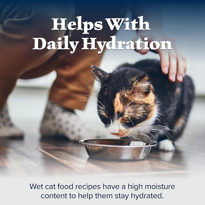 Blue Buffalo Wilderness Natural High Protein Grain Free Salmon Pate Wet Food for Kittens, 3 oz., Case of 24