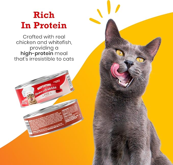 Beefeaters Cat Treats - Chicken Whitefish Pate 5.5oz, Case of 24 | Premium Wet Cat Food, Essential Nutrients, No Artificial Additives | Supports Immune System & Vision | Training Treats