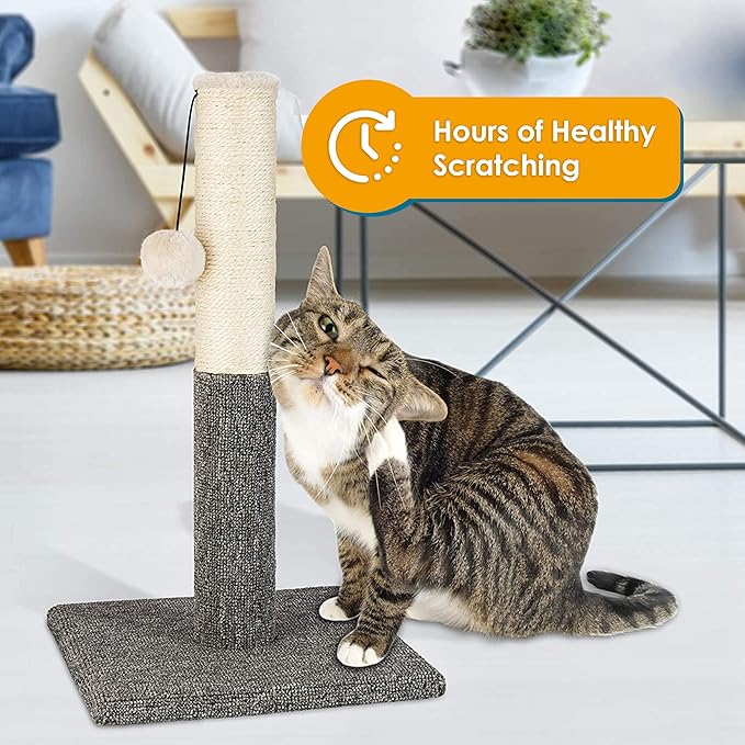PAWBEE 20" Tall Cat Scratching Post for Indoor Cats - Durable Sisal Rope Scratcher Pole with Playful Hanging Ball - Ideal Cat Tower Alternative for Kittens and Large Cats - Sturdy Cat Scratchers