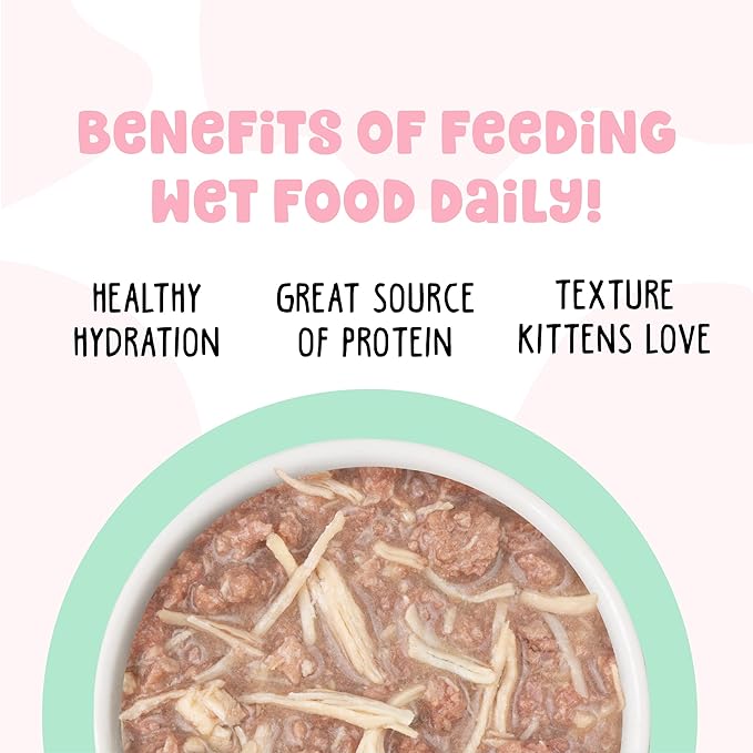 B.F.F. Kitten, Cute to Boot, 2.8oz Can (Pack of 12)