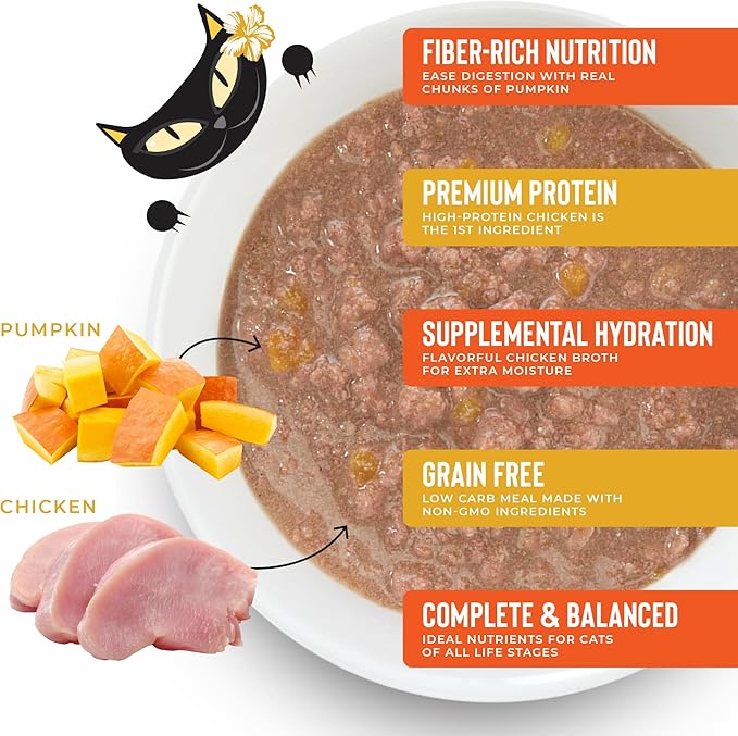 Tiki Cat Aloha Friends, Chicken & Pumpkin, Grain-Free & High Moisture, Wet Cat Food for All Life Stages 2.5 oz. Pouch (Pack of 12)