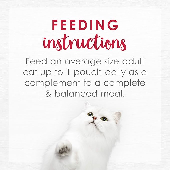 Purina Fancy Feast Lickable Senior Cat Food Broth Topper Creamy with White Meat Chicken - (Pack of 16) 1.4 oz. Pouches