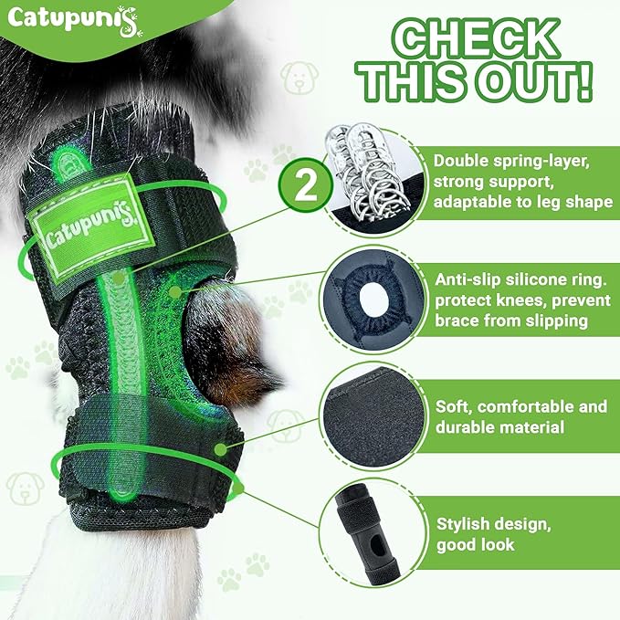 2PCS Dog Braces for Back Leg for Support. Dog Arthritis Brace. Hind Leg Support for Dogs. Leg Brace for Dogs Back Leg. Dog Leg Brace. Dog Back Leg Support Brace. Dog Hock Brace Rear Leg (L)