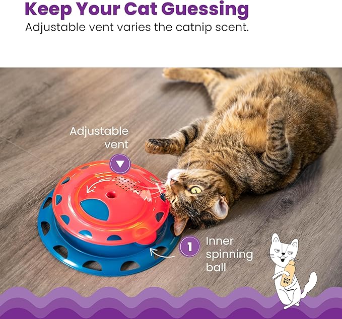 Catstages Catnip Chase Track Red and Blue Interactive Cat Toy, All Breed Sizes