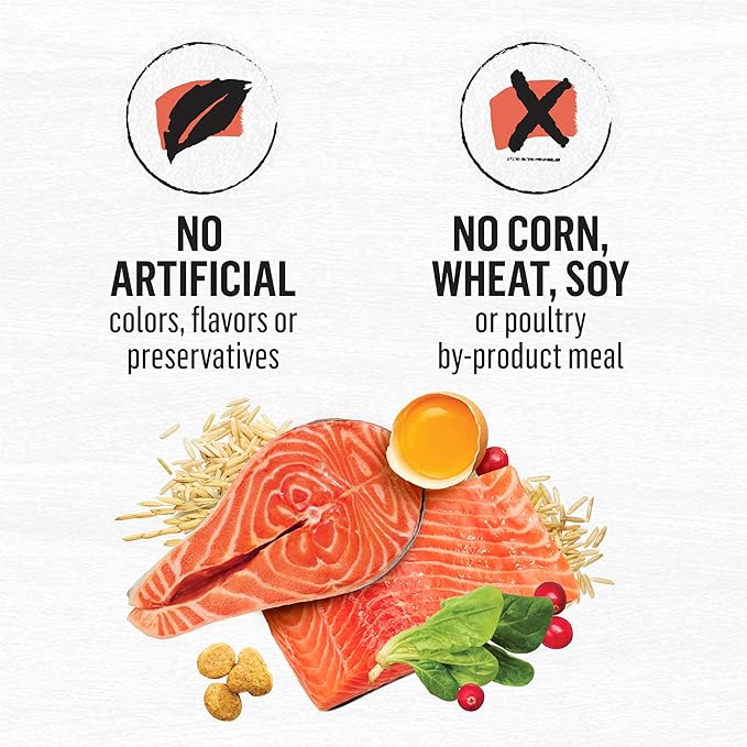 Beyond Purina Natural Wholesome Ingredients for Whole Health Dry Cat Food Salmon and Whole Brown Rice Recipe - 3 lb. Bag (Pack of 2)