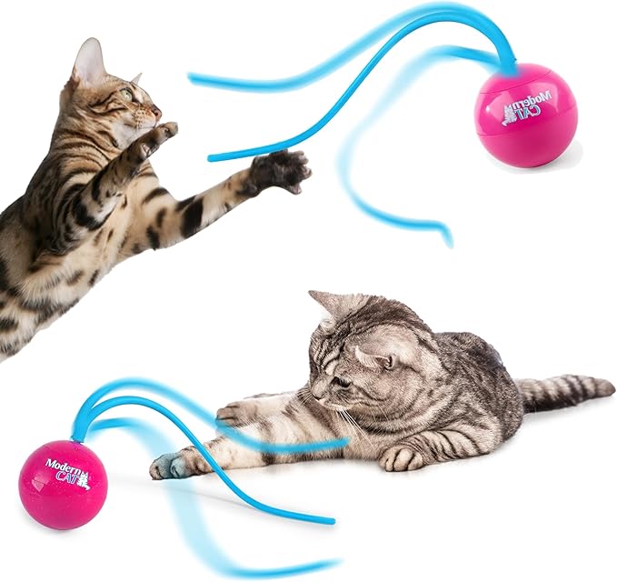 ALL FOR PAWS Interactive Cat Ball Toy