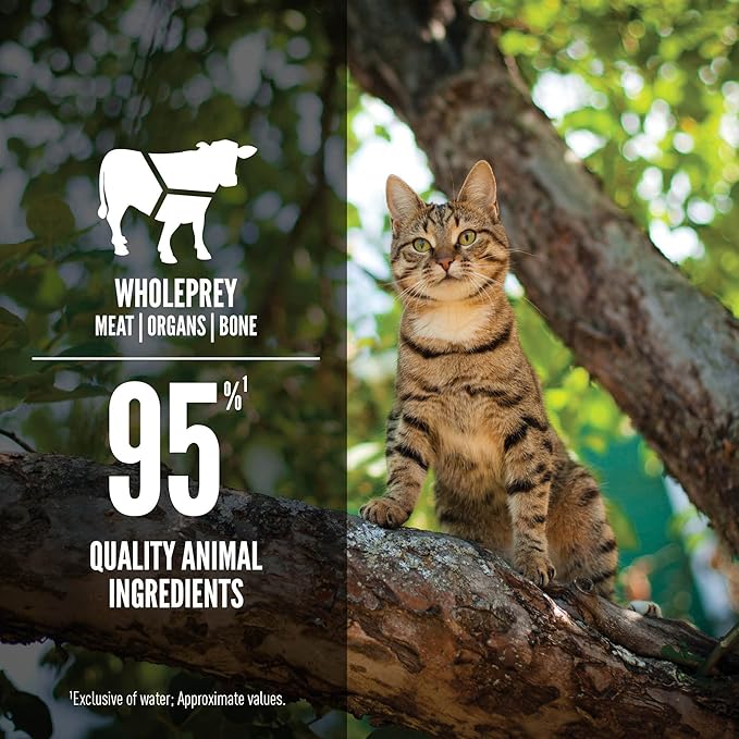 ORIJEN Adult Regional RED Entree in Bone Broth Wet Cat Food, Fresh and Raw Animal Ingredients, 3 oz (Case of 24)