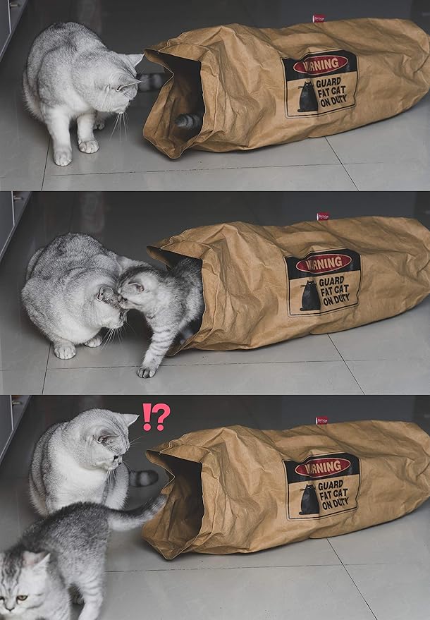 Crinkle Paper Cat Tunnel for Indoor Cats,Unbreakable Cat Cave Tunnel Toy,Cat Hideaway Tube Tunnel Toys,Rabbit Hideaway Bunny Hideout,Brown,1 Count(Pack of 1)