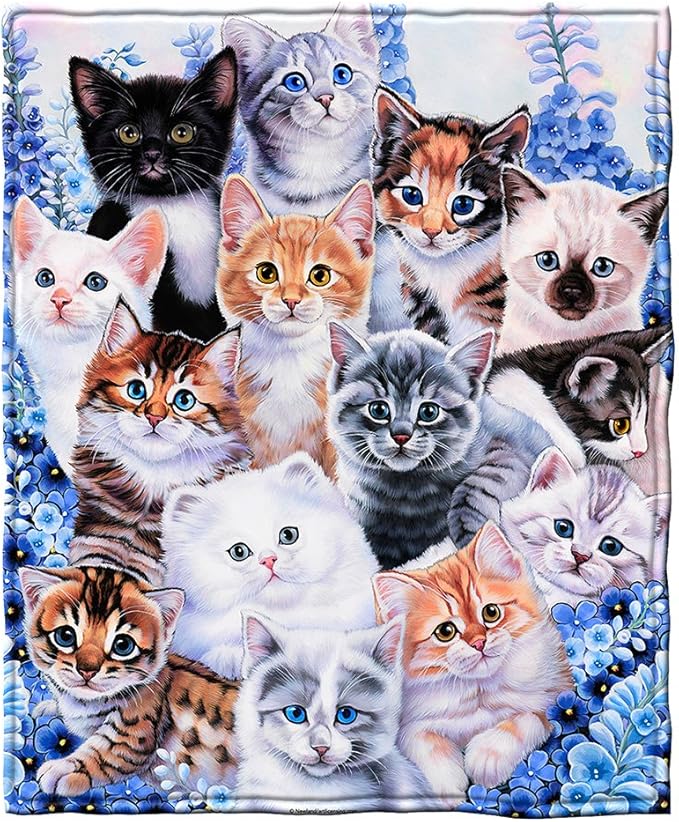 Dawhud Direct Collage Kitten Fleece Blanket for Bed, 50" x 60" Cute Fleece Throw Blanket for Girls, Women, Men and Kids - Super Soft Plush Cat Blanket Throw