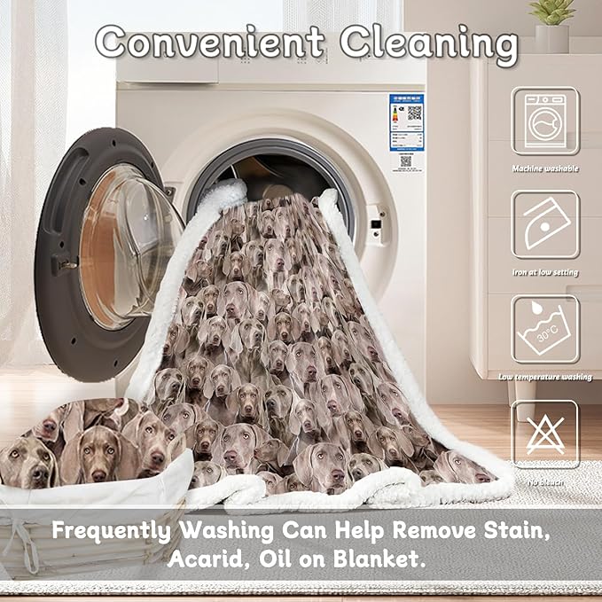 BlessLiving Weimaraner Fuzzy Dog Blanket for Kids Adults - Cute Puppy Fleece Blanket with Animal Pattern - Reversible Sherpa Couch Sofa Bed Throw (50 x 60 Inches)