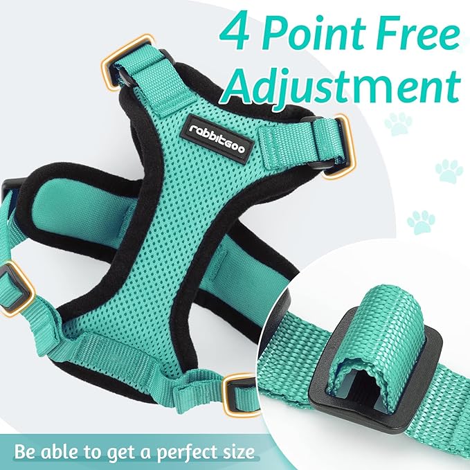 rabbitgoo Cat Harness and Leash for Walking, Escape Proof Soft Adjustable Vest Harnesses for Cats, Easy Control Breathable Reflective Strips Jacket, Emerald, S