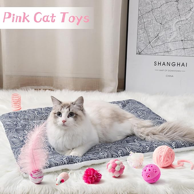 MALLMALL6 10Pcs Cat Toy Set Interactive Cat Toys Pack Including Feather Teaser Wand Cat Springs Mice Crinkle Balls and Pet Bell Balls, Puzzle Toys for Indoor Cats Gift (Pink)