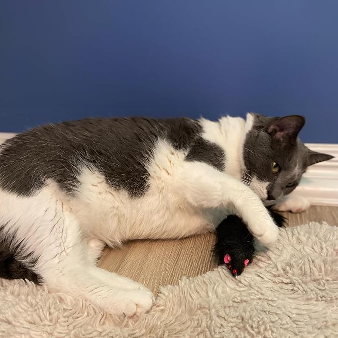 SPOT Ethical Shaggy Plush Ferret with Rattle and Catnip Cat Toy