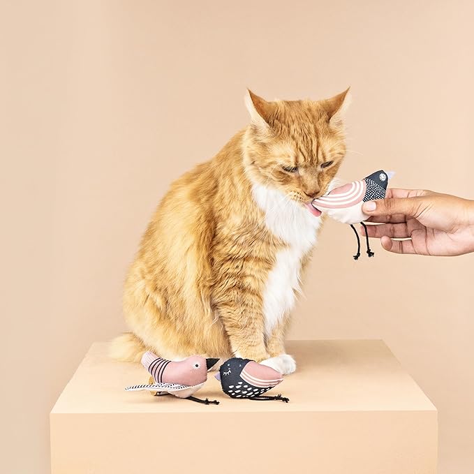 Fringe Studio "UNDER MY WINGS Cat Toy Mini Set of 3, PetShop Collection (904029)