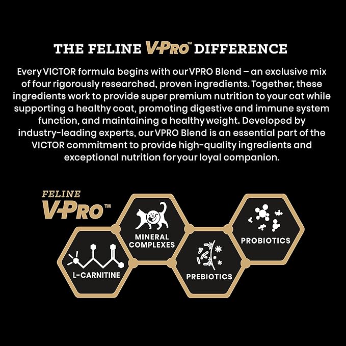 Victor Super Premium Cat Food – Grain Free Healthy Skin & Coat - Dry Cat Food for Indoor Cats – Yukon River Recipe – All Breeds and All Life Stages from Kitten to Adult, 5lb