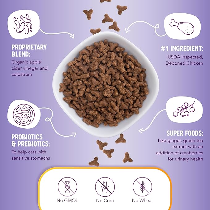 Health Extension Dry Cat Food, (4 lb / 1.81 kg) - Chicken & Brown Rice Recipe with Added Vitamins, Minerals, and Probiotics, Suitable for All Cats & Kittens