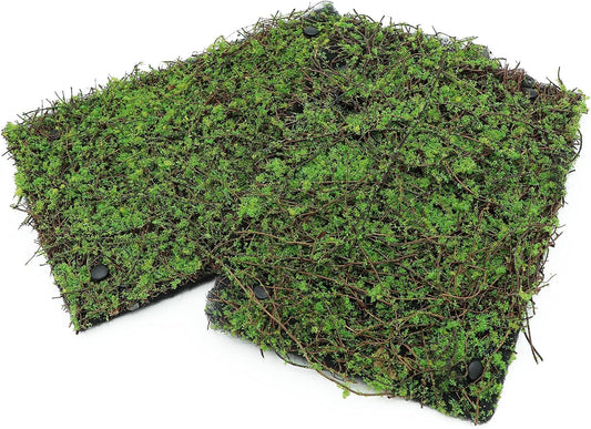 AQUA KT Terrarium Moss Background Backdrop Wall Artificial Reptile Amphibian Cage Decoration for Lizard Bearded Dragon Snake Frog Chameleon Climbing, Pack of 2
