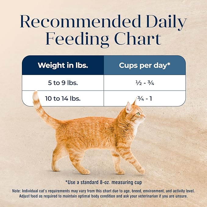 Blue Buffalo Basics Grain-Free Dry Cat Food, Skin & Stomach Care, Limited Ingredient Diet for Indoor Cats, Duck & Potato Recipe, 11-lb. Bag