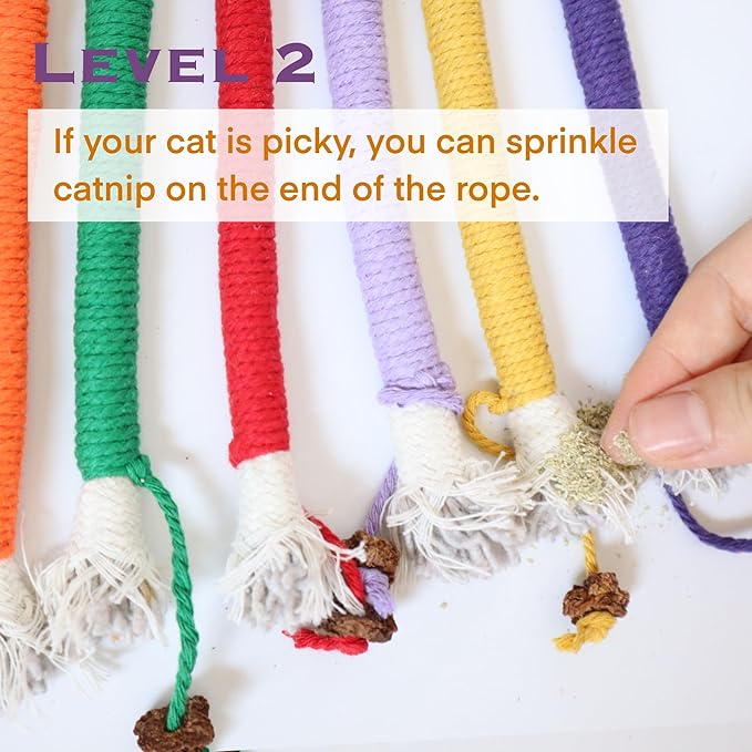 Kitten Toys, Cat Chew Toy for Teeth Cleaning, Catnip Rope Toys for Indoor Kittens, Interactive Cat Nip Teething Toys for Cats, Kitty Kicker Toy, 6 Pack (Plus 3 Pouches of Catnip)