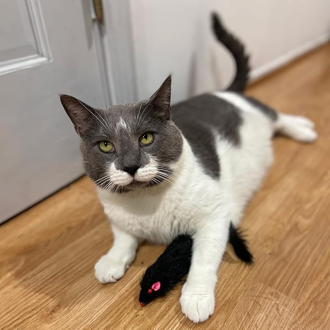 SPOT Ethical Shaggy Plush Ferret with Rattle and Catnip Cat Toy