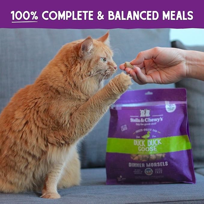 Stella & Chewy's Freeze-Dried Raw Cat Dinner Morsels – Grain Free, Protein Rich Cat & Kitten Food – Duck Duck Goose Recipe – 8 oz Bag