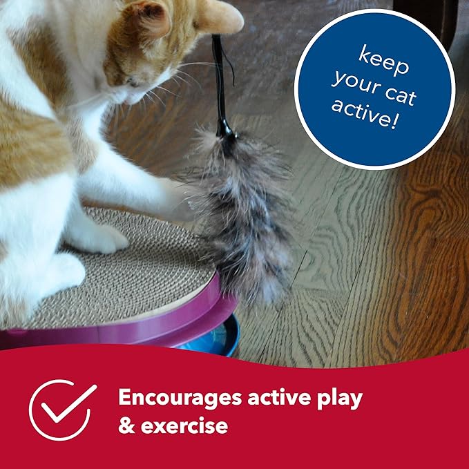 Coastal Pet Turbo Teaser Cat Toy - Interactive Cat Feather Toy and Cat Wand - Attach to Cat Towers & Scratcher Pads - Assorted - 10"