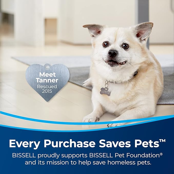 Bissell Pet Stain Eraser Plus, 3181