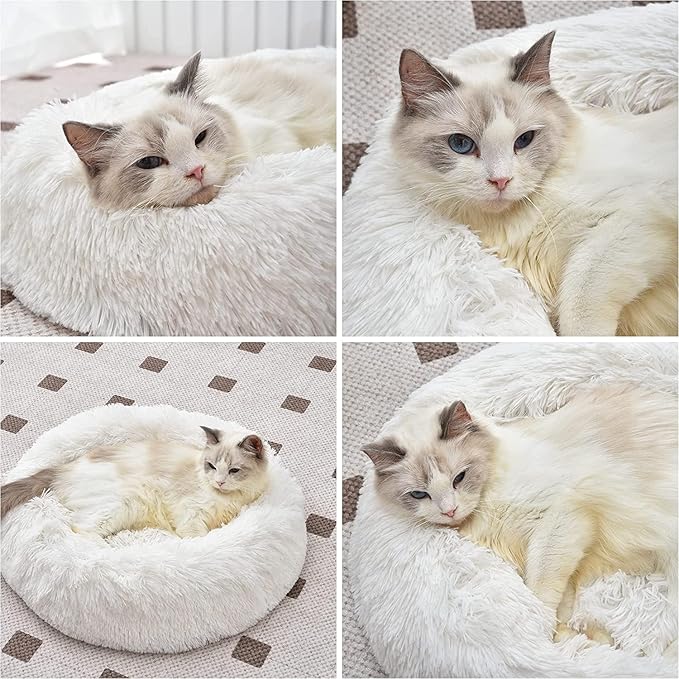 Cat Beds for Indoor Cats - Cat Bed Washable 20/24 inches, Dog Beds for Small Medium Dogs, Anti Anxiety Round Fluffy Plush Faux Fur Cat Bed, Thick Bottom (White, Medium)