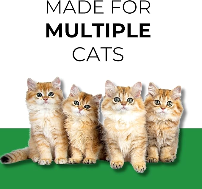 Almo Nature: Natural Unscented Cat Litter - 10 lbs - Non-Toxic, 100% Plant-Based, Clumping, Biodegradable, Compostable, for Cats & Kittens