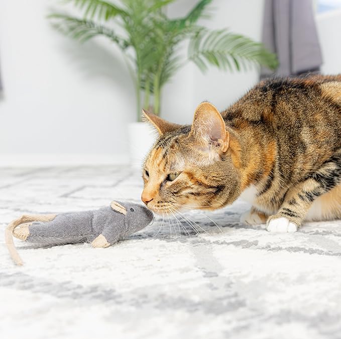 SPOT Flat Mouse Frankie with Catnip - Cat Toy, Fuzzy Mice with Catnip and Crinkle Sound, Perfect Size for Pouncing on, Chasing, Hunting - 5.5in Plush Toys, Assorted Colors