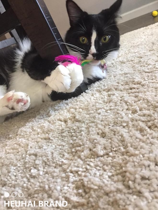 Cat Toys for Indoor Cats - 15 Pcs Kitten Toys Set - Includes 8 Bell Balls - 1 Catnip Mouse - 6 Plush Balls - Colorful and Safe - Pet Playset for Interactive Fun and Exercise