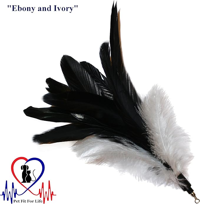 Pet Fit For Life 4 Piece Dual Rod Feather Teaser and Exerciser for Cat and Kitten - Cat Toy Interactive Cat Wand…