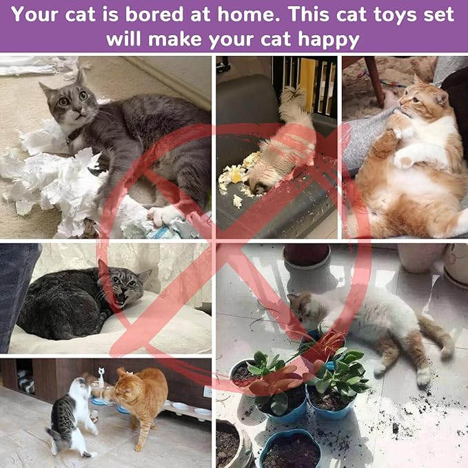 Retro Shaw Cat Toys for Indoor Cats 33 Pack,Kitten Toy Interactive Cat Feather Toy,Collapsible Cat Tunnel Tube Tent,Cat Springs Bell Rainbow Ball Crinkle Toy Mice Toy Pompom Ball Kitty Chase Exercise