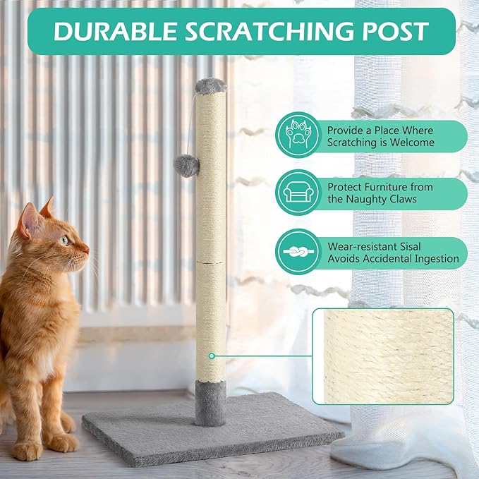 32" Tall Scratching Posts for Indoor Cats Adults Cat Scratchers with Interactive Hanging Toy Ball Cat Scratch Furniture Protector Scratcher Post with Stable Heavy Base, Light Grey
