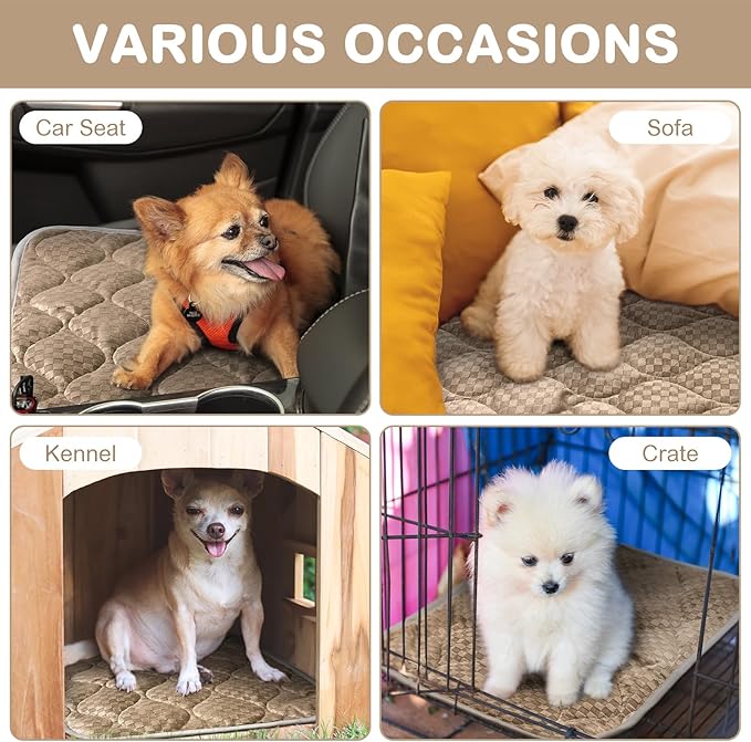 4 Pack Self Warming Cat Bed 16 x 20 Self Heating Cat Mat Warm Thermal Pet Pad Washable Dog Crate Pad Body Heat Dog Cat Bed Mat Blanket Non Slip Bottom for Outdoor Indoor Pets(Camel)