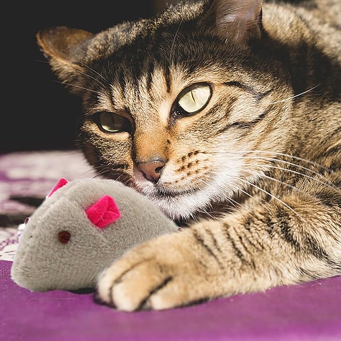 cat Mouse Toy, Rat Stuffed Animal, Mouse Toy，Mint Mouse Toy Suitable for Indoor Cats, Resistant to Biting (24 Piece Set)