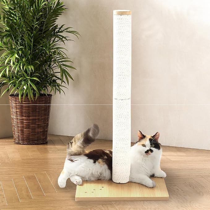 Necoichi 31.5” Tall Cat Scratching Post Kitten Scratcher Paper Rope Scratch Posts Trees with Hanging for Indoor Cats (31.5 inches for Adult Cats, Large, Oak)