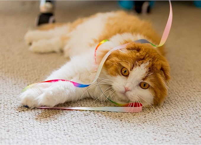 Youngever 15 Cat Toys Kitten Toys Assortments, Cat Crinkle Play Mat, Cat Teaser Wand Interactive Toys Cat Springs, Crinkle Balls for Cat, Puppy, Kitty, Kitten