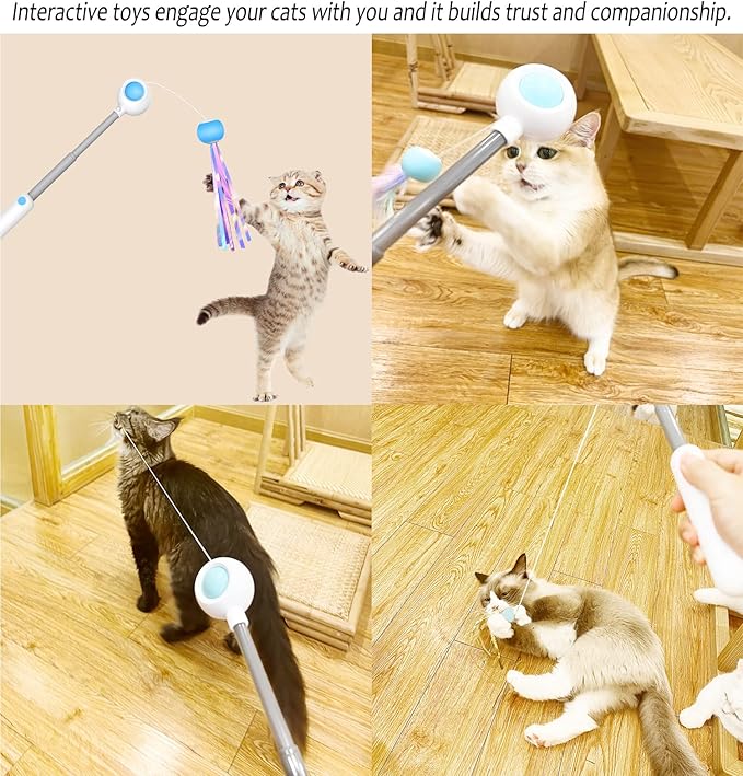 Cat Toys for Kitten,Interactive Cat Wand Exercise,Retractable Teaser,2 Pcs Refills Assortments Bored Cat Chase Fishing Pole,Funny Gifts