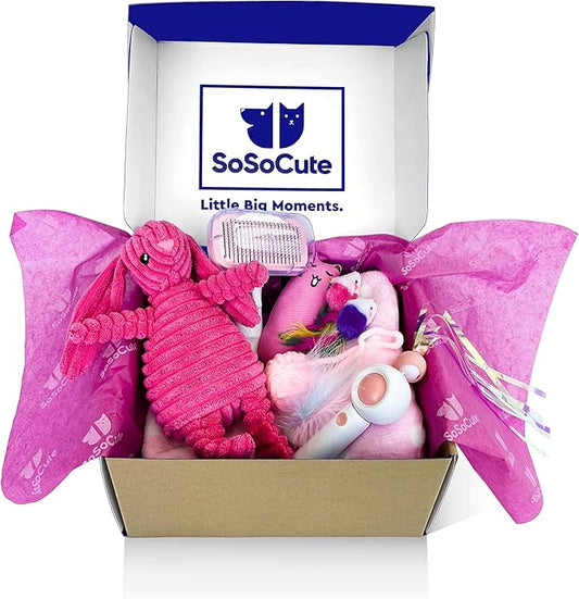 Cat Welcome Gift Set - Catnip Chew Toy, Cat Feather Mouses, Interactive String Teaser Wand, Yarn Ball, Squeaky Soft Toy, Cat Hair Brush, and Ultra Soft Blanket