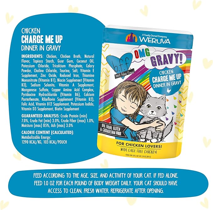Weruva B.F.F. OMG - Best Feline Friend Oh My Gravy!, Chicken Charge Me Up with Chicken in Gravy, 2.8oz Pouch (Pack of 12)