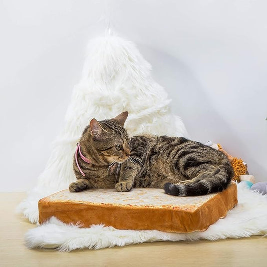 Gefryco Cat Beds for Indoor Cats, Pet Mats Cushion for Cat and Small Dogs Creative Toast Bread Slice Mattress (Sponge Core)