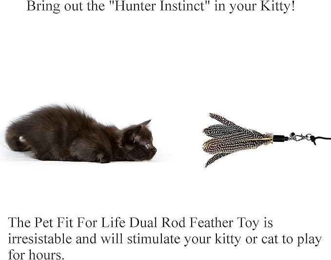 Pet Fit For Life 2 Feather Teaser and Exerciser for Cat and Kitten - Cat Toy Interactive Cat Wand