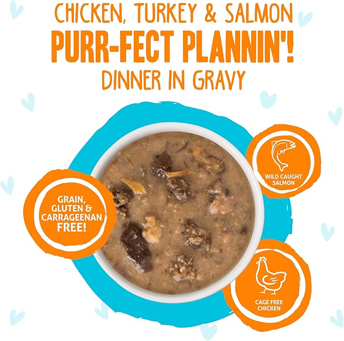 Weruva B.F.F. OMG - Best Feline Friend Oh My Gravy!, Purr-FECT Plannin'! with Chicken, Turkey & Salmon in Gravy Cat Food, 2.8oz Pouch (Pack of 12)