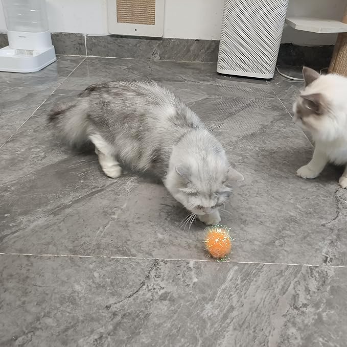 Cat Toy Balls 2 Inch Pom Pom Sparkle Ball Cat’s Favorite Toys Assorted Color Tinsel Glitter Fuzzy Balls 16 Pcs